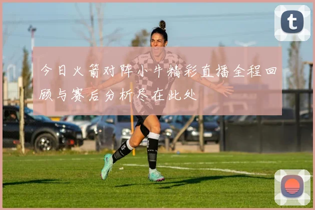 今日火箭对阵小牛精彩直播全程回顾与赛后分析尽在此处