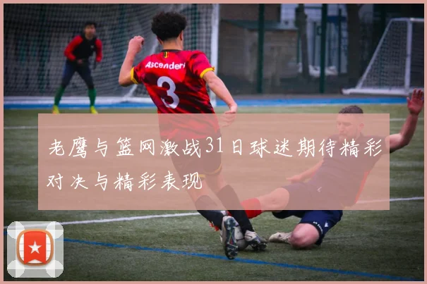 老鹰与篮网激战31日球迷期待精彩对决与精彩表现